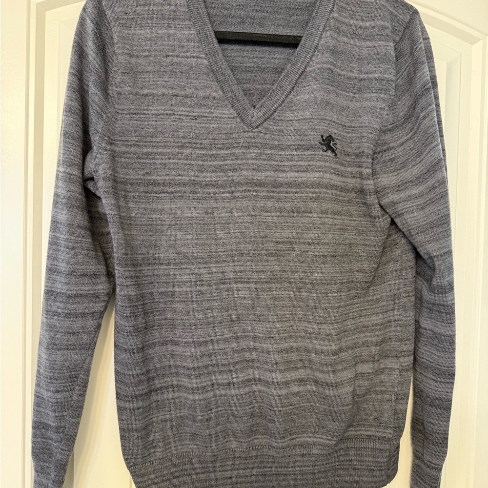 Express Charcoal V-Neck Men's Sweater
